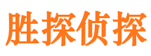 回民侦探